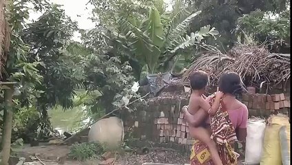 মিলনে বাধা দেওয়ার বিড়ালকে লেজ দিয়ে আঘাত করলো সাপ