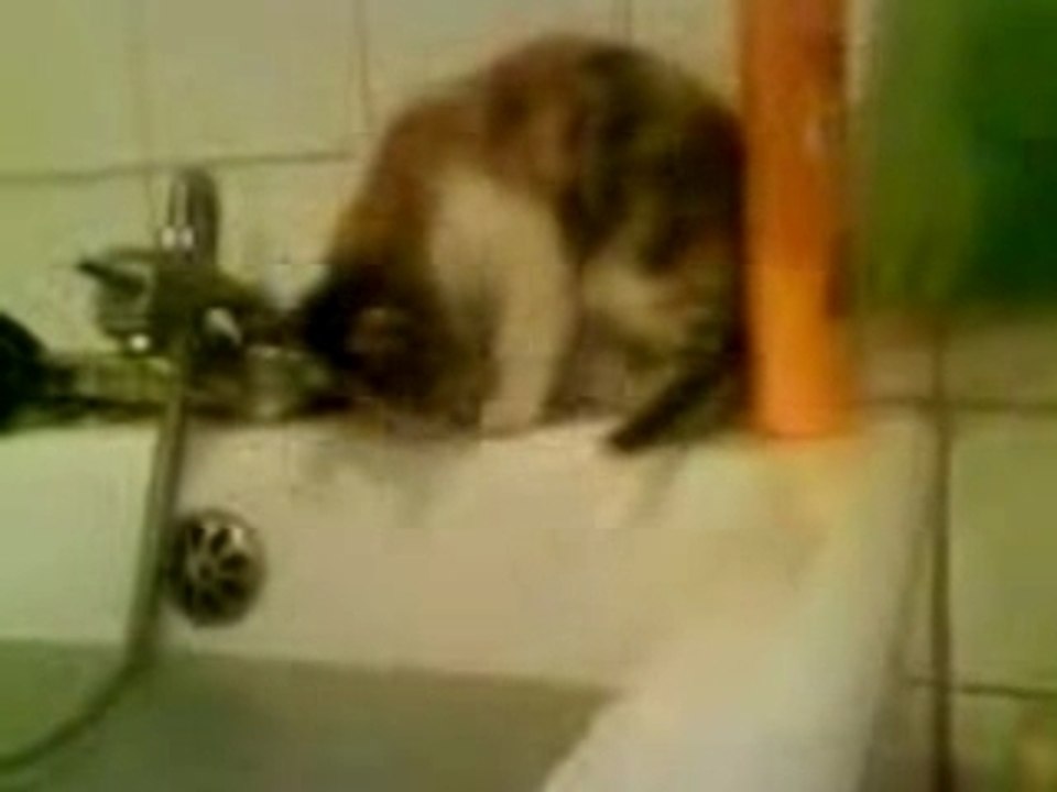 Le bain.