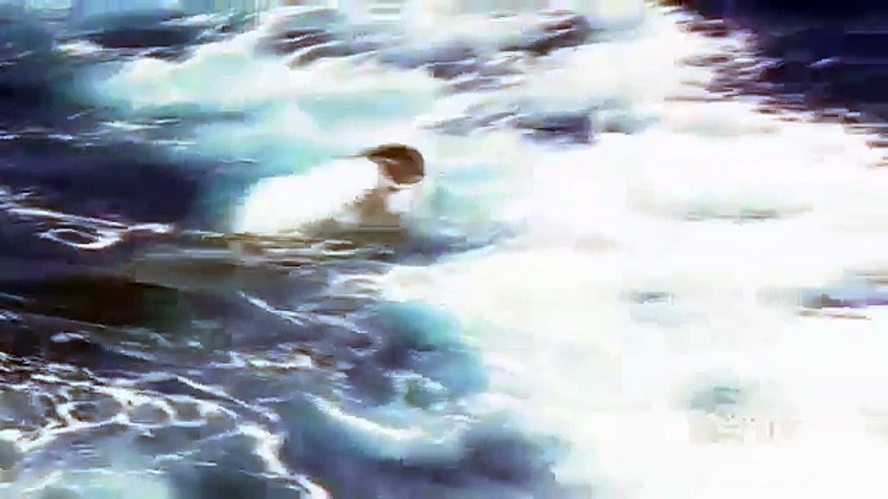 KILLER WHALE HOTSPOT in Bremer Canyon, Australia.  Channel 9 news.-xQCTWLmPzPw.CUT.00'34-01'10