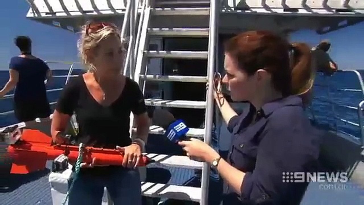 KILLER WHALE HOTSPOT in Bremer Canyon, Australia.  Channel 9 news.-xQCTWLmPzPw.CUT.02'19-02'55