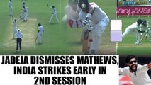 India vs SL 2nd Test 1st day : Jadeja dismisses Mathews, host strike early on in 2nd session
