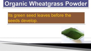 Organic_Wheatgrass_Powder_is_Available_in_Uk