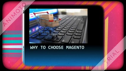 Why to Choose Magento Platform