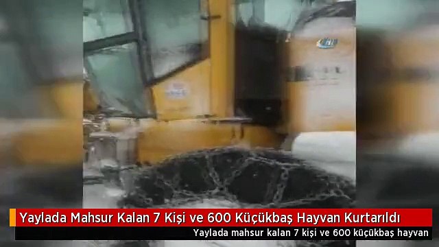 Yaylada Mahsur Kalan 7 Kişi ve 600 Küçükbaş Hayvan Kurtarıldı