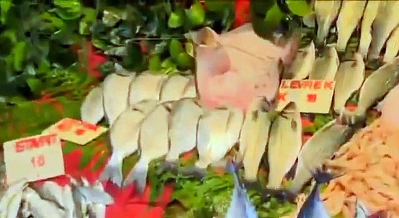 Kalkan Var mı