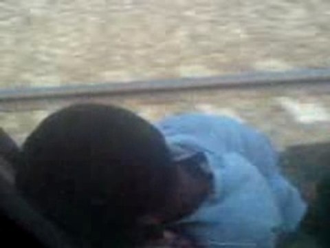 MaRoC lEs BléDaRs iLs pReNnEnT lE TrAiN