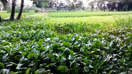 Travel_ natural village