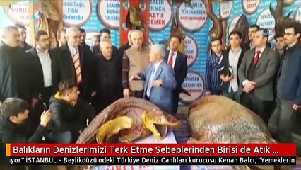 Balıkların Denizlerimizi Terk Etme Sebeplerinden Birisi de Atık Yağlar"