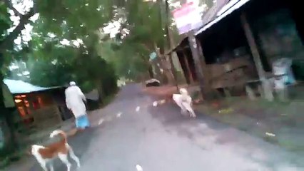 Villages TRAVEL on Barisal by road journey