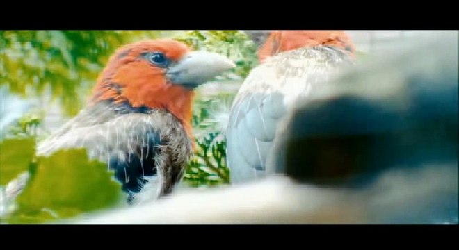 NICOLAE GUTA - VIN LA TINE PUISOR [OFICIAL VIDEO] 2017