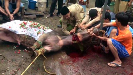 NHÂN QUẢ VAY TRẢ   VAY BAO NHIÊU TRẢ BẤY NHIÊU    XƯA NAY NHÂN QUẢ LUẬT NÀO NỂ AI