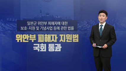 일본 정부가 깊이 새겨야 할 슈뢰더 총리의 말 / YTN