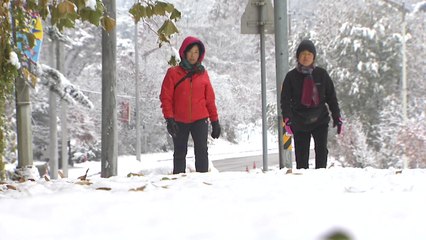 충청 지역 대설주의보...함박눈 '펑펑' / YTN