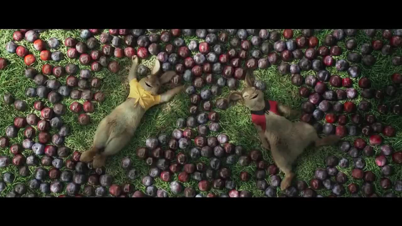 Peter Rabbit Trailer