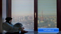 Dimensione Serramenti Torino | Tapparelle Sicurezza e Reti anticaduta gatto | Tel:  011 3722195