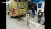 Boys hide under bus to avoid fare as they try to look for their parents