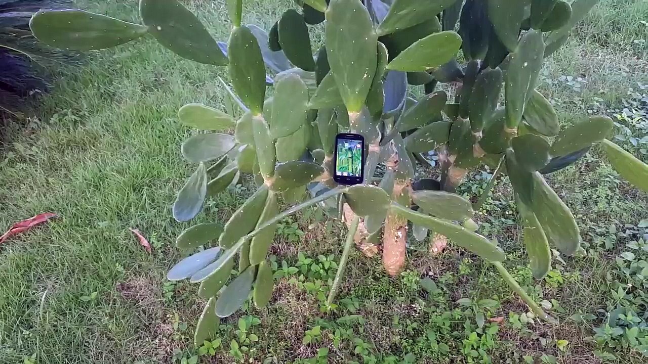 ¡¡Como Tener INTERNET GRATIS PARA SIEMPRE!! Cualquier País Y Compañía (FUNCIONA 100%) 2017