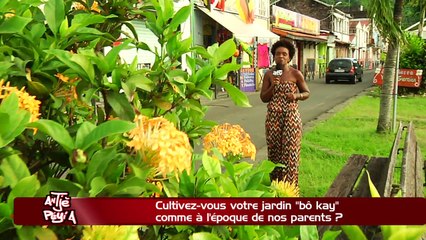 ATPA 27 11 17 JARDIN BO KAY LEON TISGRA OK