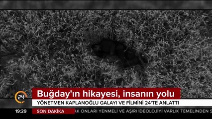 Buğday'ın hikayesi, insanın yolu