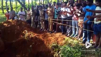 Sauvetage d'un bébé éléphant prisonnier dans un puit et retrouvailles avec sa maman !