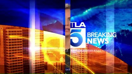 Police Respond to Incident at Busy London Train Station