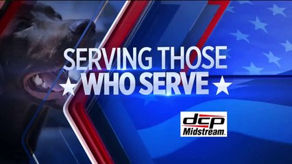 Therapy Dog-in-Training Gets Some Stress Relief Therapy for Himself