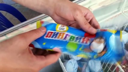Best Stupid Gags Videos 2014 Stupid Videos