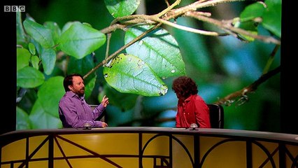 QI XL - L Series E11