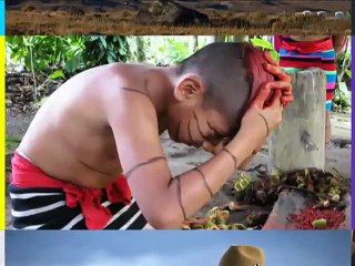 La selva de la amazonia esta llena de plantas medicinales