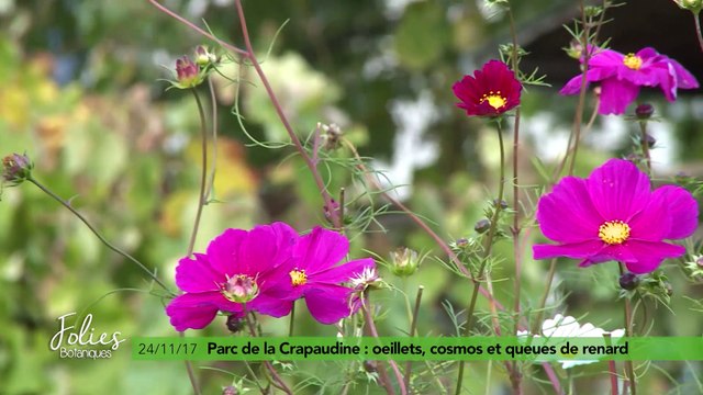 Folies Botaniques au Parc de la Crapaudine #4