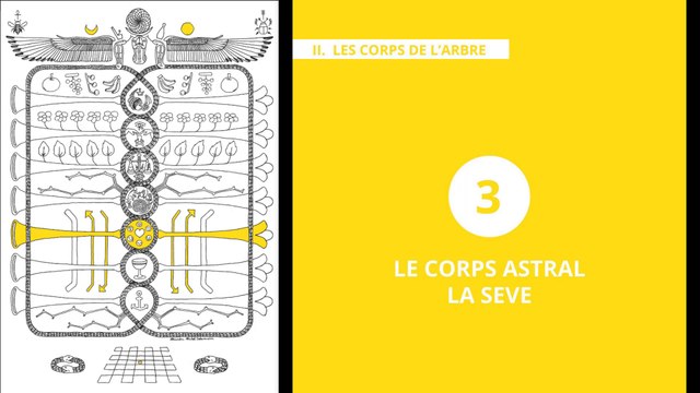 L'Arbre de Vie - Alchimie & Gnose (11/20) ASTRAL – LA SEVE