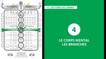 L'Arbre de Vie - Alchimie & Gnose (12/20) MENTAL – LES BRANCHES