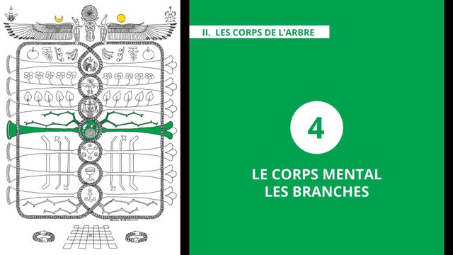 L'Arbre de Vie - Alchimie & Gnose (12/20) MENTAL – LES BRANCHES