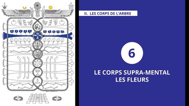 L'Arbre de Vie - Alchimie & Gnose (14/20) SUPRA-MENTAL – LES FLEURS