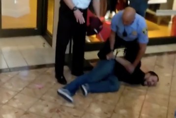 Police Detain Black Friday Protesters at St Louis Mall