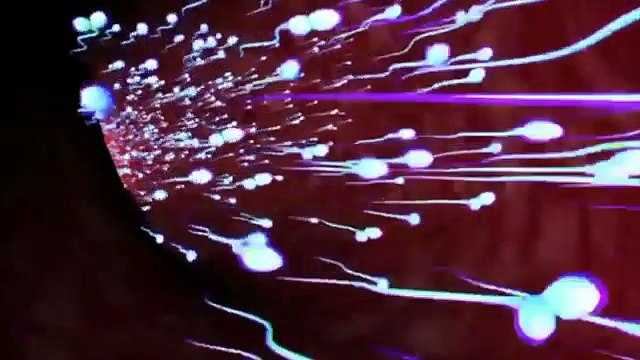 Women Health - How To Conceive a Baby Boy Pregnancy- Medical Videos