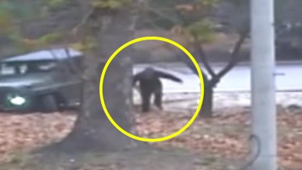 北, JSA 귀순 사건 재발 방지에 총력 / YTN