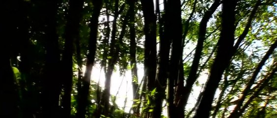 Прекрасное исполнение.