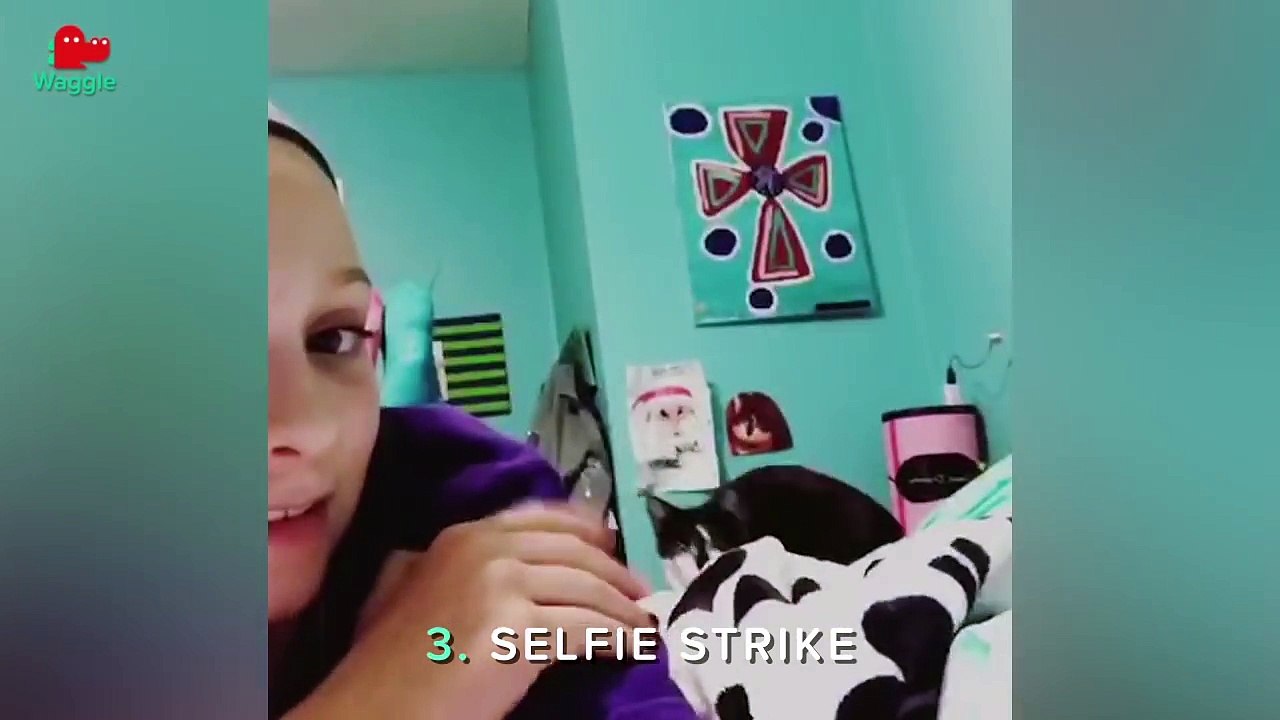 Ten Sneak Attacks _ Funny Animal Compilation-OXrzHvQygm0.CUT.02'19-02'55
