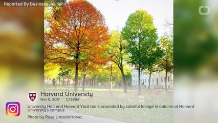 Ivanka Trump stands up for Malia Obama