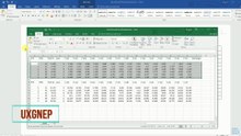 How to Copy & Paste Columns or Rows from Excel to Word