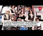 David Cassidy, 'Partridge Family' Star and Teen Idol, Dies at 67  THR News Flash