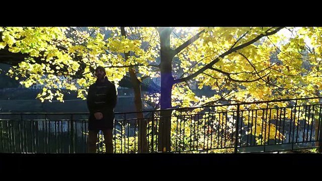 SPHINX - Lucio Bukowski & Oster Lapwass