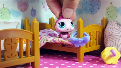 Minişler: Arı | LPSEM miniş videoları