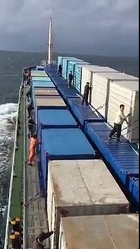 Des milliers d'oiseaux relâchés d'un transport illégal par les douanes en plein océan !