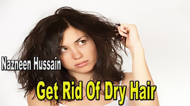 Get Rid Of Dry Hair (Homemade Remedies)