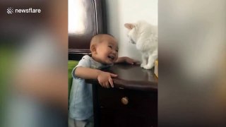 Cat makes baby cry with vicious slap to the head