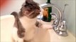 Cats that LOVE Water Compilation - Funny Animals
