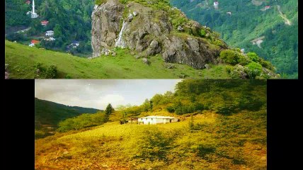 Beşikdüzü Ardıçatak Köyü