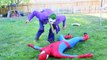 Joker vs Spiderman - Real Life Superhero Battle! Pool Match Fight | Superheroes | Spiderman | Superman | Frozen Elsa | Joker
